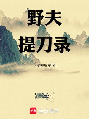 野夫提刀录 野夫提刀录